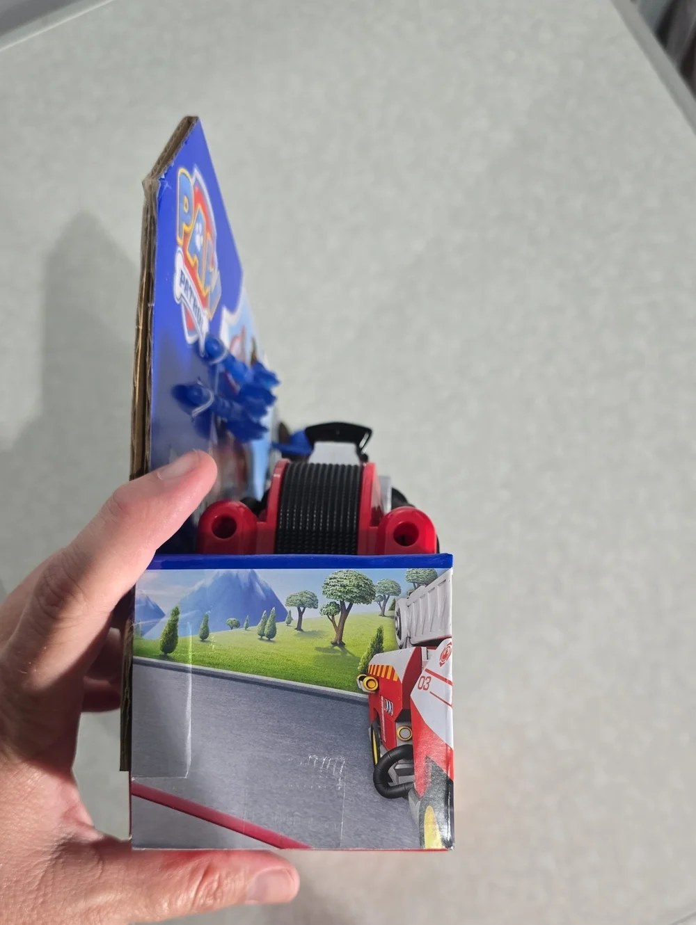 Paw Patrol paw patrol